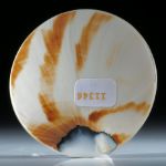 runde Scheibe aus Nautilus Schale