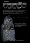 Pyritschiefer, Pyrite,