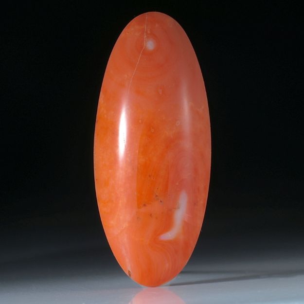 Edelkoralle, ovaler Cabochon ca.60x25.5x10mm