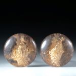 versteinertes Baumfarn, titea singularis, rundes Paar poliert ca.25x25x5mm
