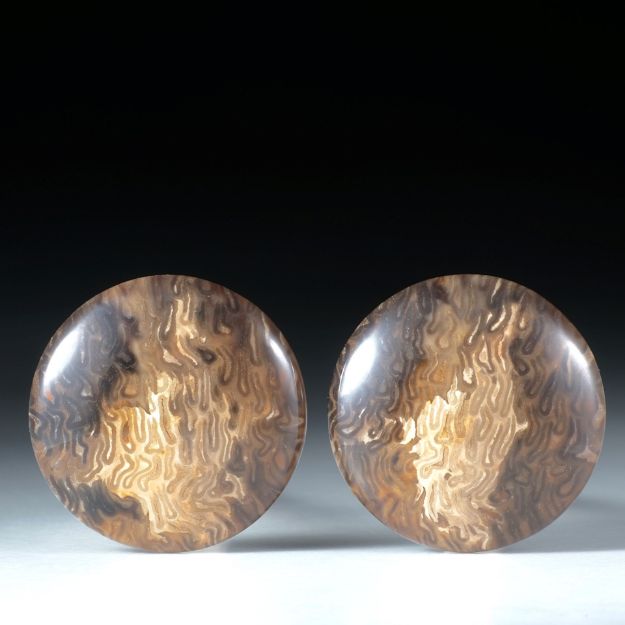 versteinertes Baumfarn, titea singularis, rundes Paar poliert ca.25x25x5mm