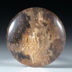 versteinertes Baumfarn, titea singularis, rundes Paar poliert ca.25x25x5mm
