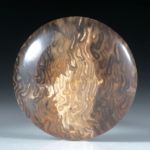 versteinertes Baumfarn, titea singularis, rundes Paar poliert ca.25x25x5mm
