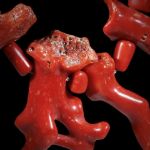 Korallencollier corallium rubrum Mittelmeer, polierte Äste
