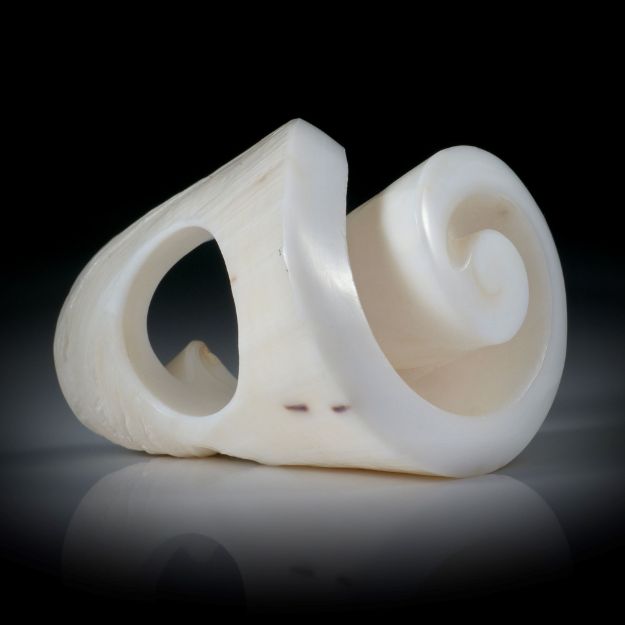 Fingerrring aus einem Lambis-Lambis Gehäuse, Innendurchmesser 19mm, teilweise naturbelassen, Gesamthöhe 50mm