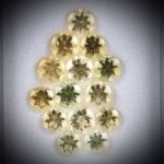 Goldberyll Lot 7.68ct. 14 runde Steine, ca. 5mm Durchmesser